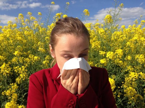 Vivre mieux avec ses allergies à Nantes