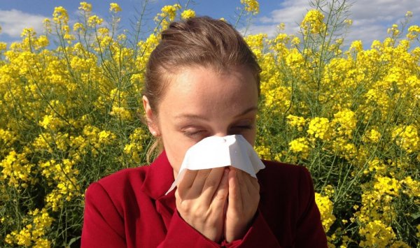 Vivre mieux avec ses allergies à Nantes